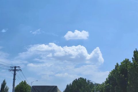 服务器和云服务器和裸金属都有什么区别，企业应该如何选购