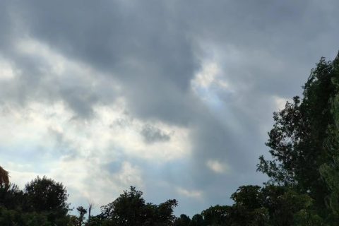 日照本地小程序开发（日照本地企业官网小程序开发）