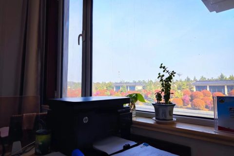 校园低成本创业项目推荐（校园创业小项目，学校小资金启动过赚钱的创业方案？）