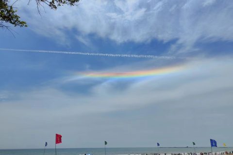 seo是什么意思（什么是SEO？它的特点是什么？）