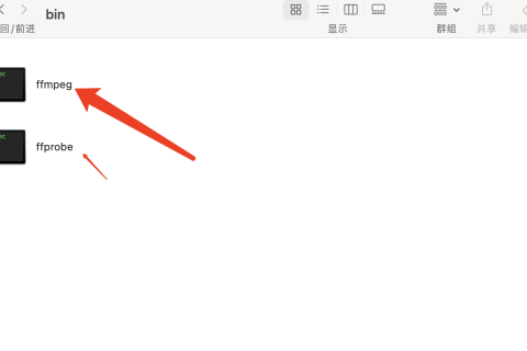 网站提示Unable to load FFProbe什么原因？如何解决