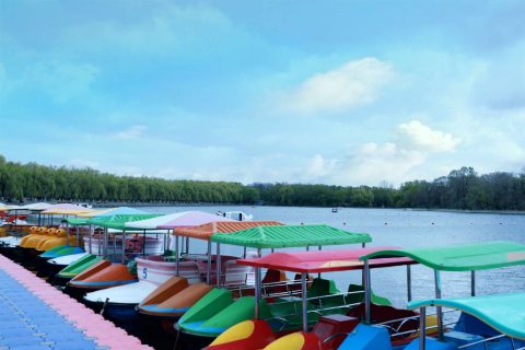 商标注册的流程是什么样的？注册多久才可以获得自己的商标？