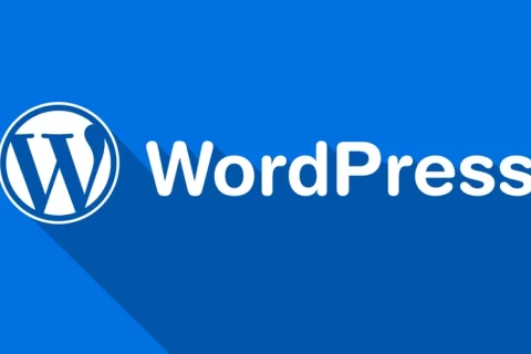 为什么大多数人选择使用WordPress搭建外贸独立站？