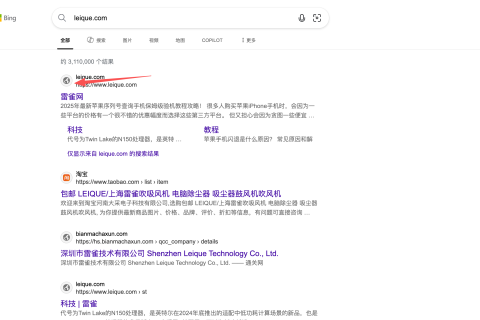 bing收录没有网站图标怎么办？（如何让 Bing 必应收录你的网站图标）