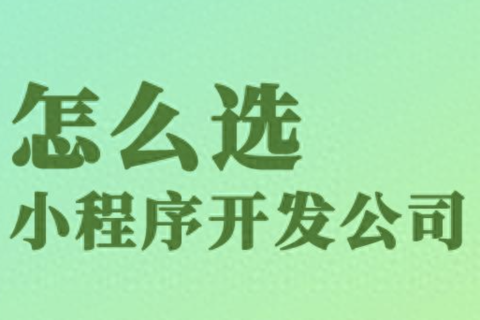 选对小程序开发公司：避坑与拿捏全攻略（通用于各类定制开发）✅